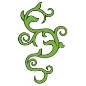 es3swirls37clr